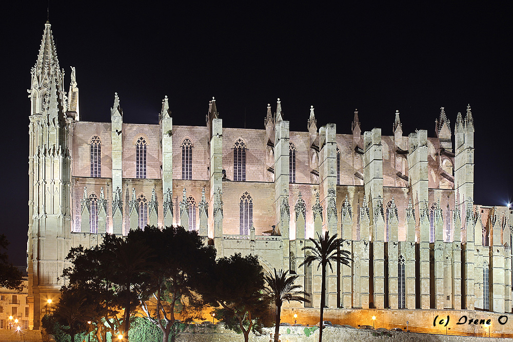 Nachtaufnahme der gotische Kathedrale La Seu