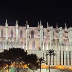 Nachtaufnahme der gotische Kathedrale La Seu