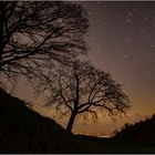 Nachtaufnahme mit und ohne Startrail was gefällt besser?