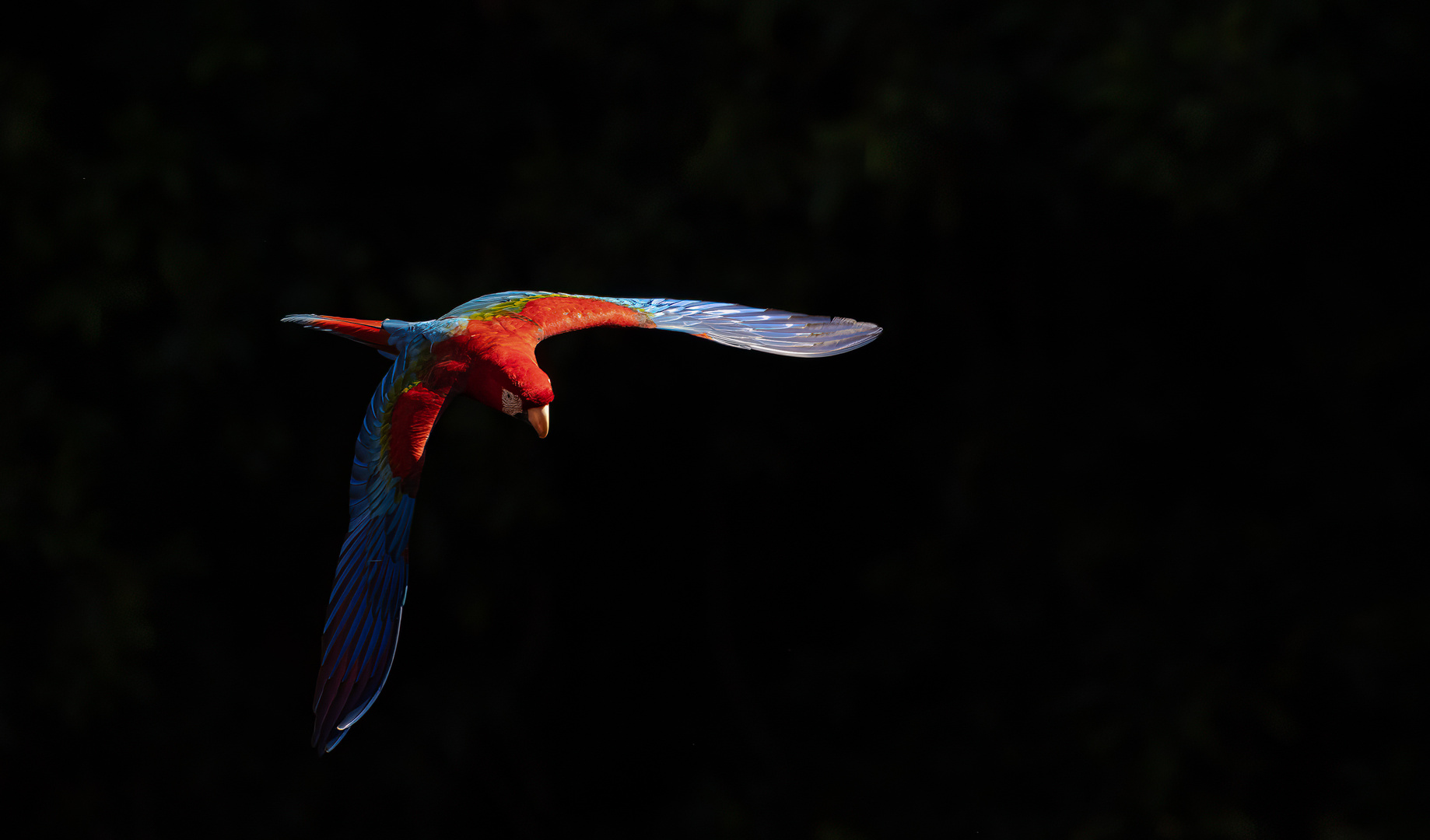 Nachtflieger2