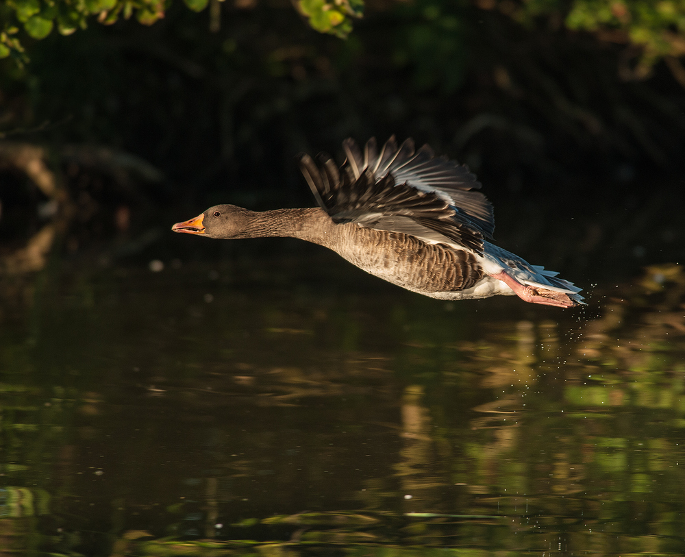 Nachtflug