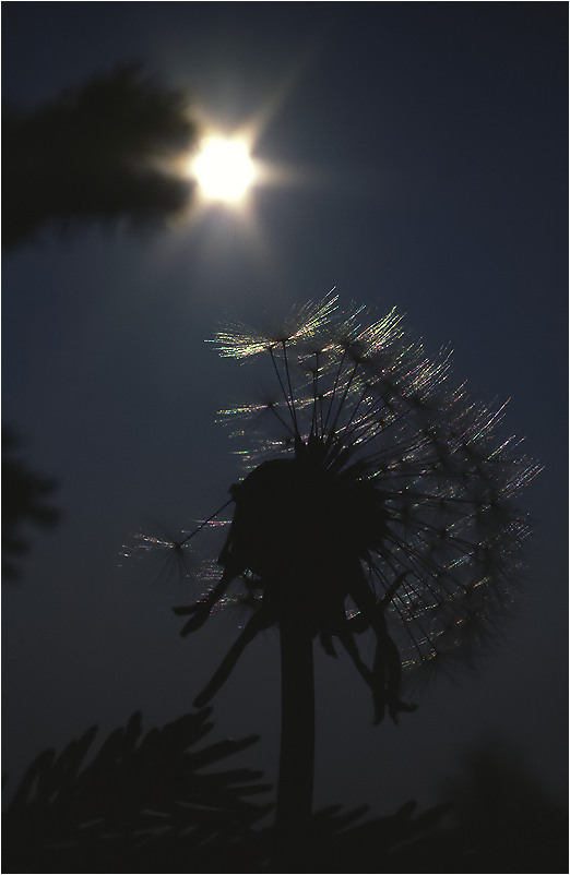 Nachtflug in die Sonne