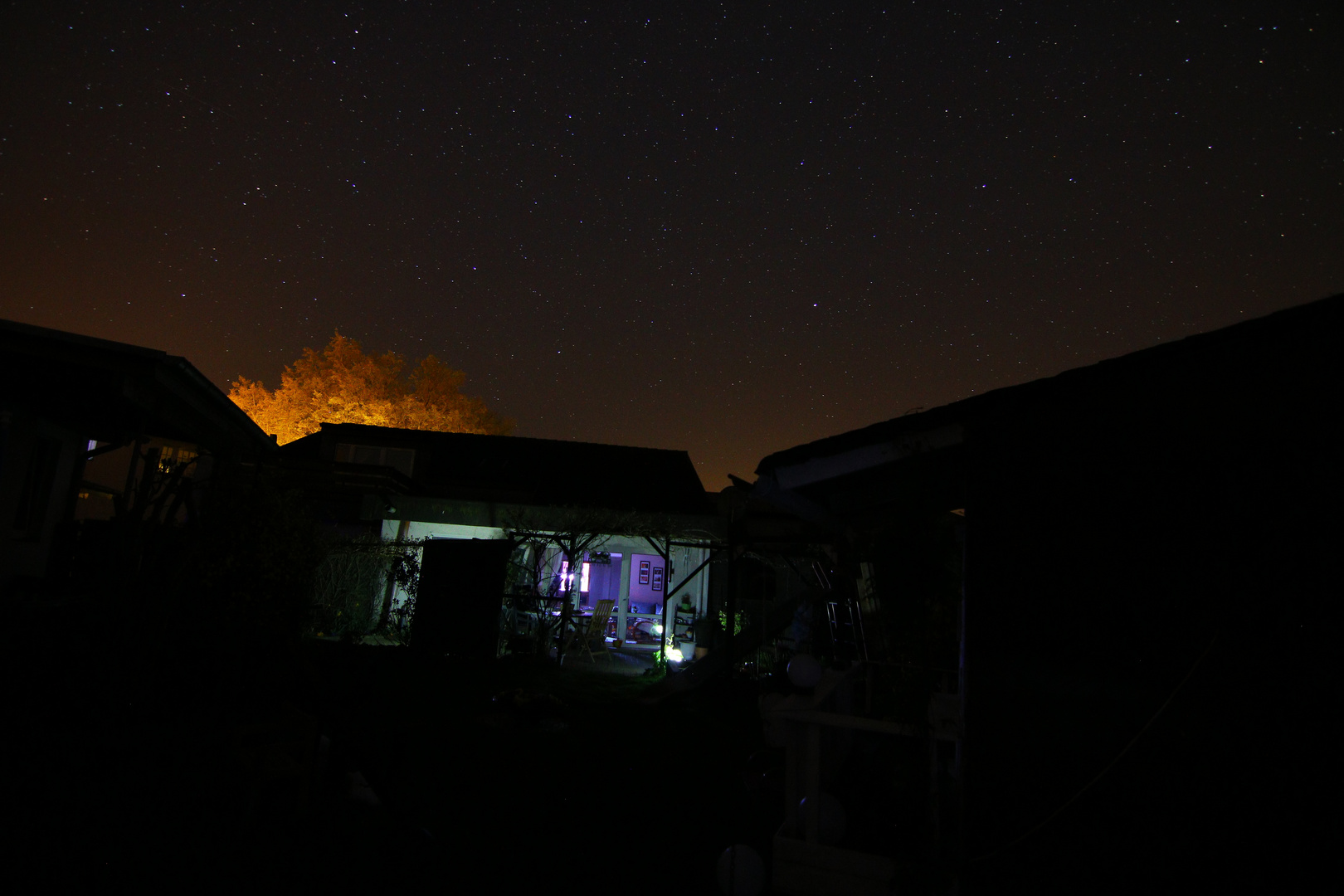 Nachtfoto im Garten 