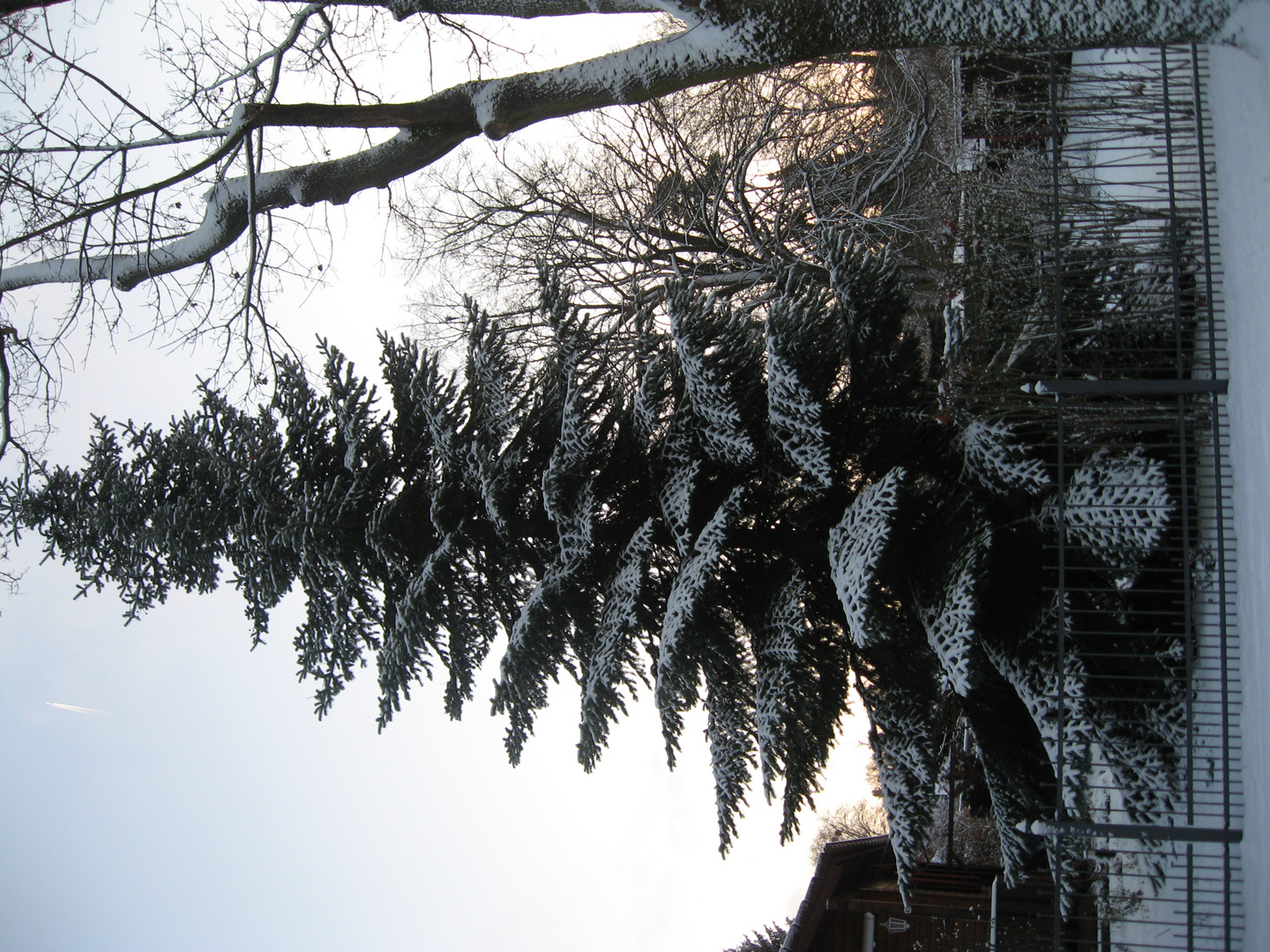 Nachtfrost-Spuren im Januar