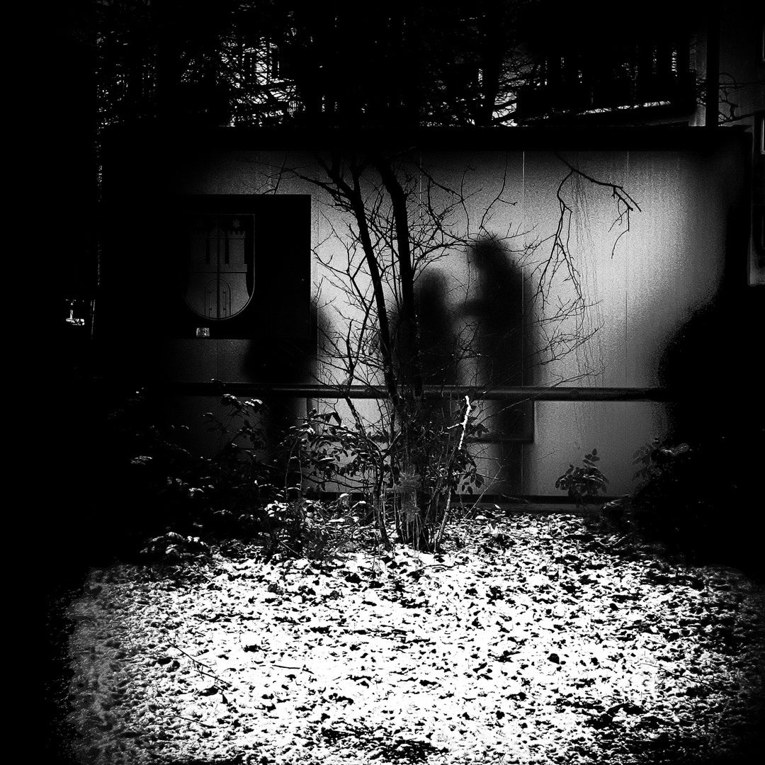 Nachtgestalten Nachtgestalten