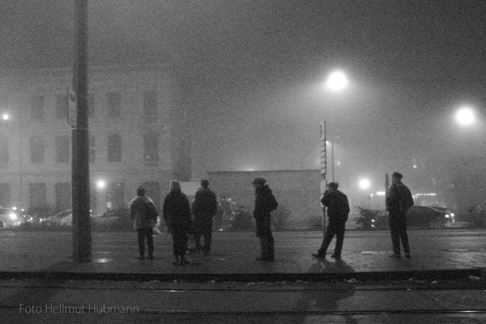 NACHTGESTALTEN IM ABENDNEBEL