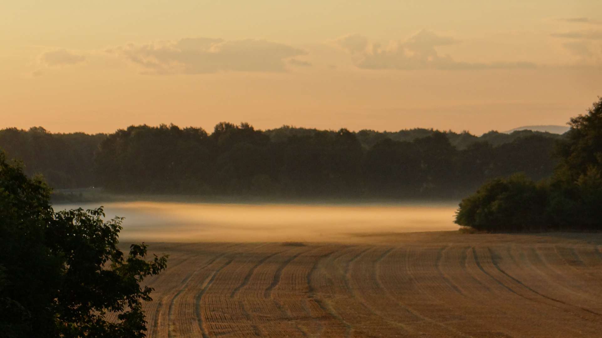 Nachthemd der Natur