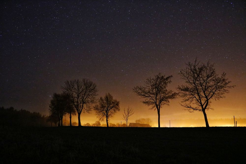 Nachthimmel Foto & Bild | landschaften, bäume, nacht Bilder auf