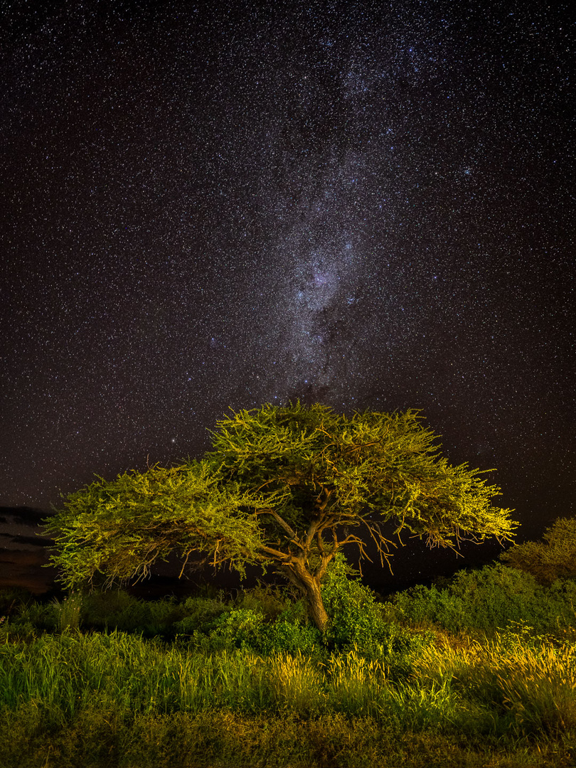 Nachthimmel über Namibia