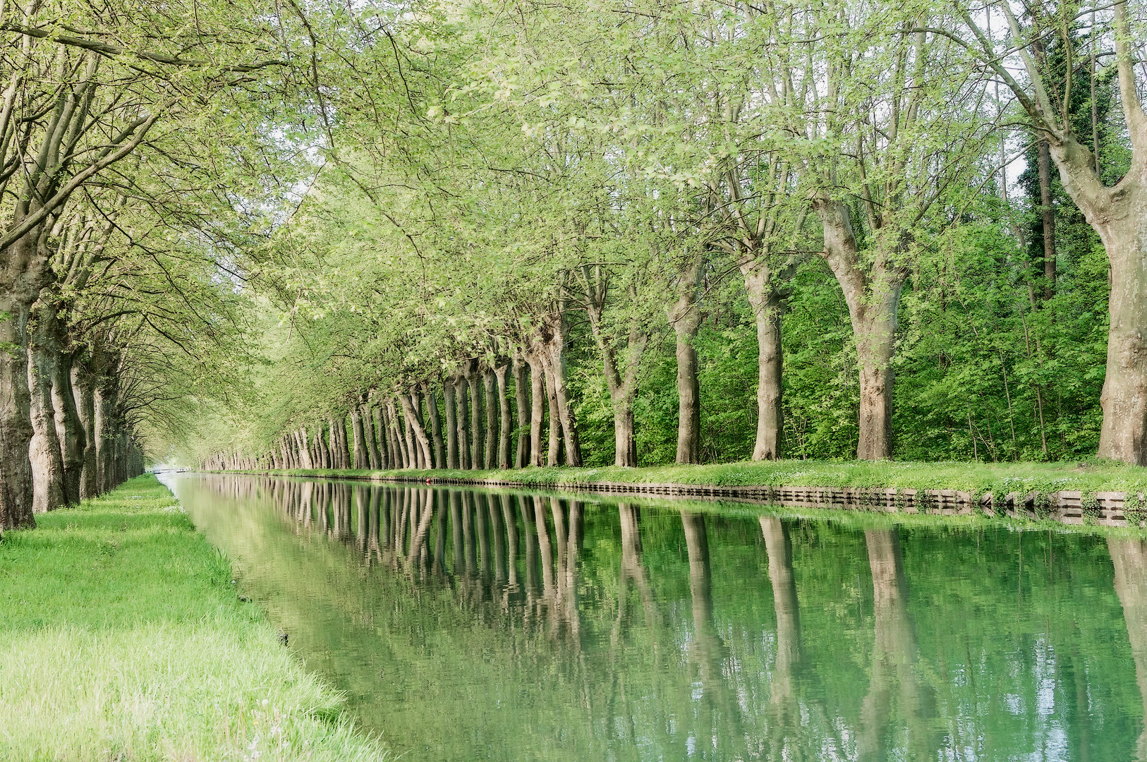 Nachtigallen-Kanal ....