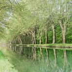 Nachtigallen-Kanal ....