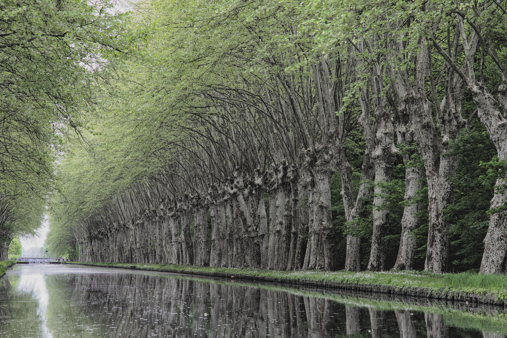 Nachtigallenkanal revisted