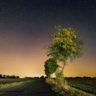 Nachtlandschaft  1