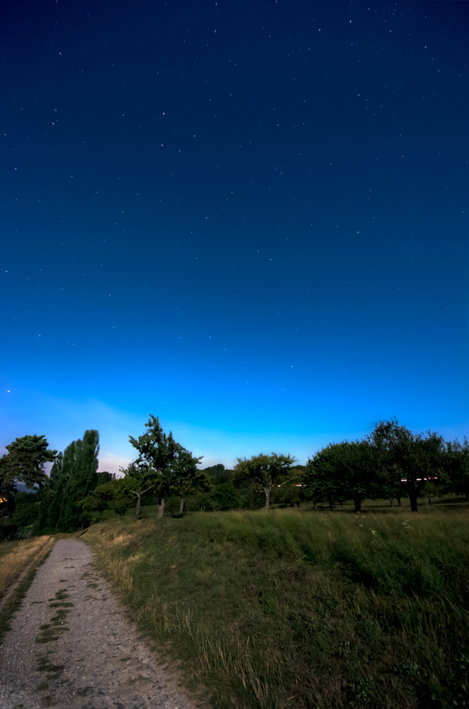 Nachtlandschaft bei Vollmond