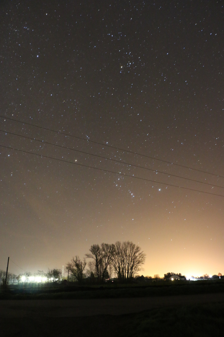 Nachtlandschaft mit Orion und Stier