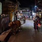 Nachtleben in Omkareshwar