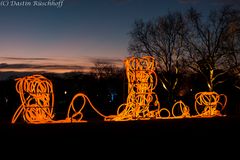 Nachtleuchten Grugapark Essen 1