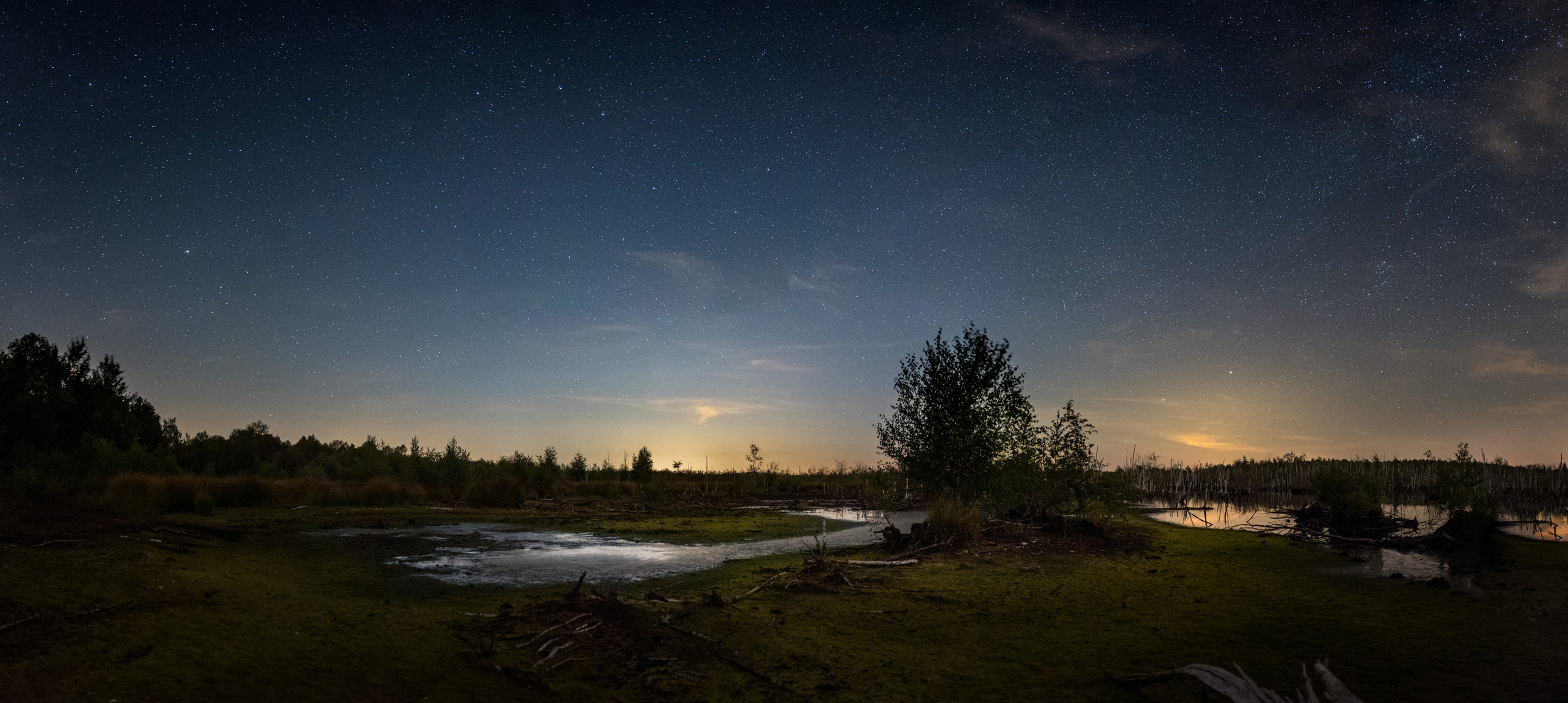 Nachtleuchten im Moor