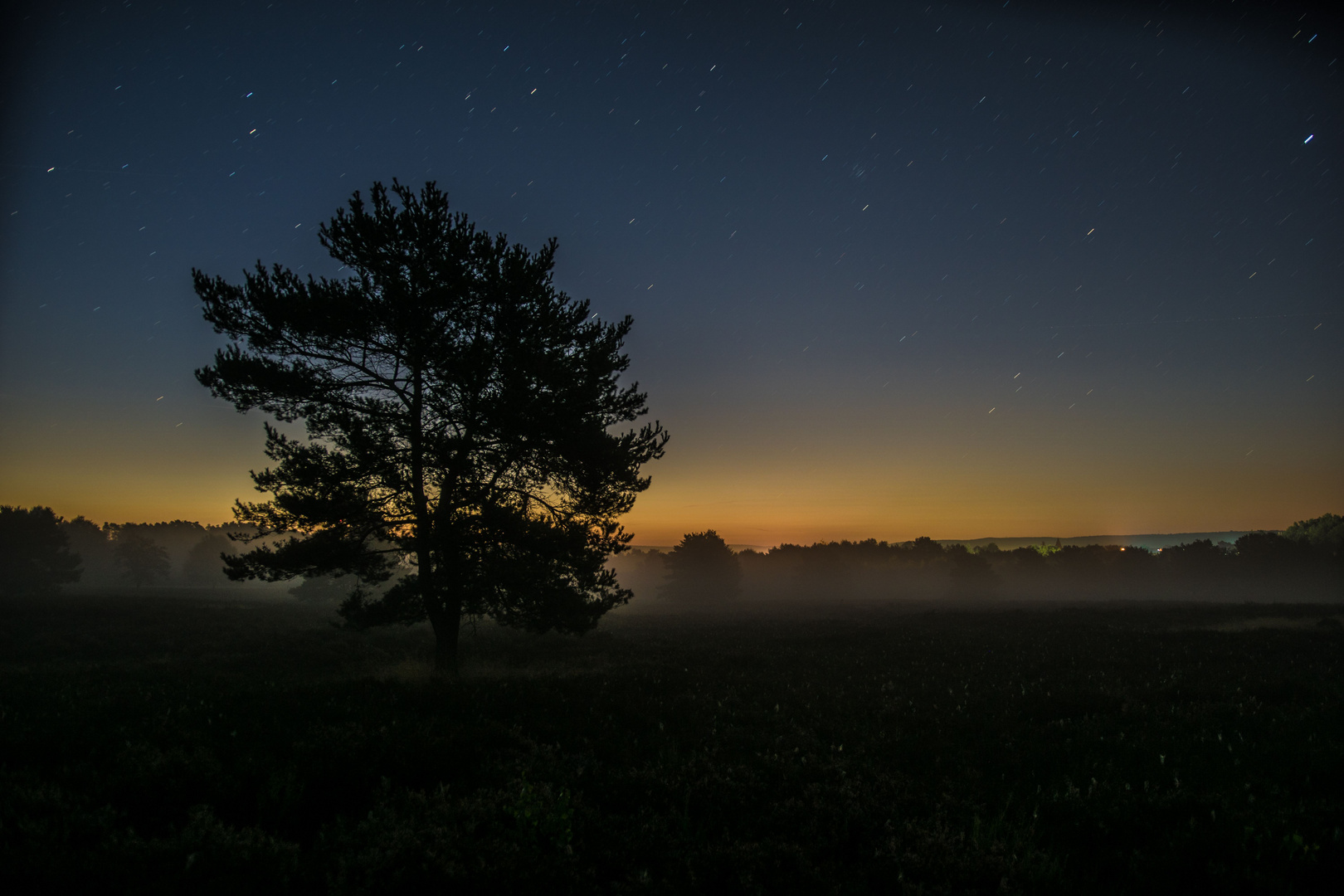 Nachtlicht über der Mehlinger Heide