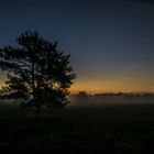 Nachtlicht über der Mehlinger Heide