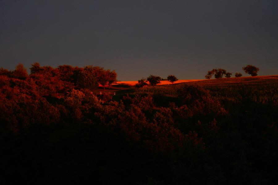 Nachtmodus ( Abendsonne )