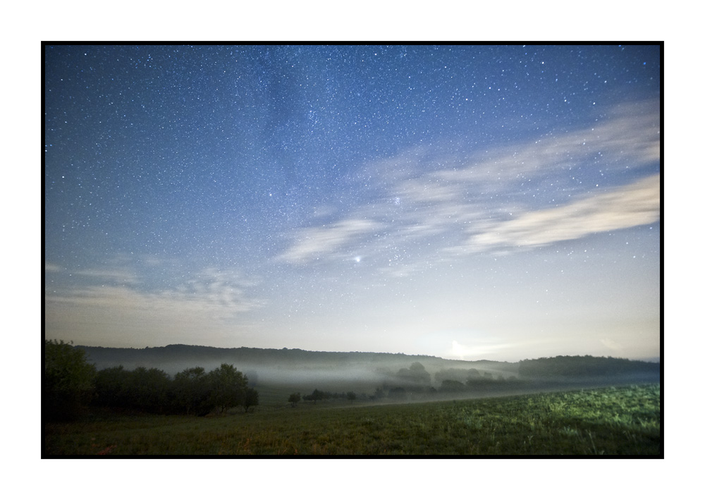 Nachtnebel