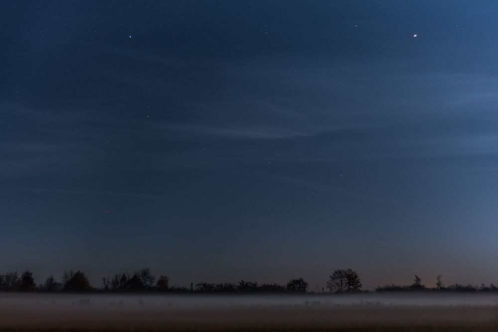 Nachtnebel