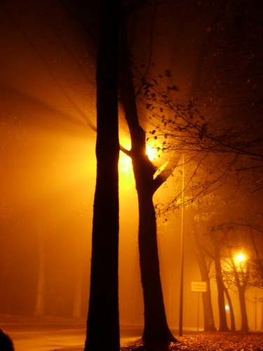 Nachtnebel...