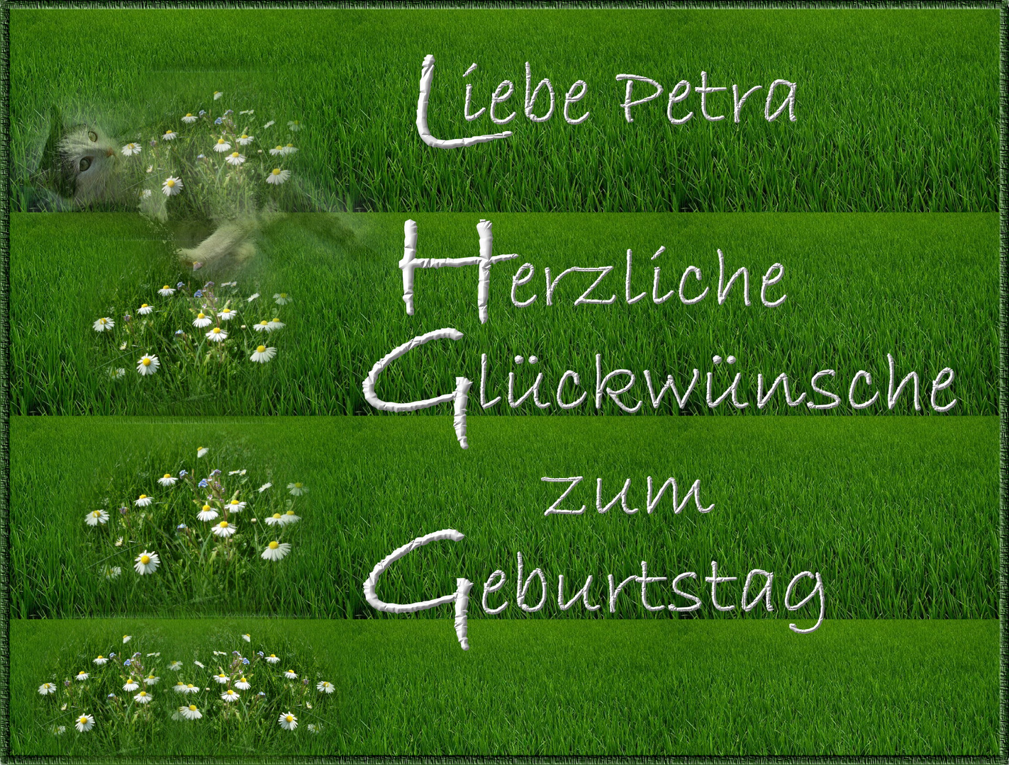 Https Www Xn Glckwnsche Sprche 32bdj De Glueckwuensche Geburtstag Geburtstagswuensche Whatsapp Html