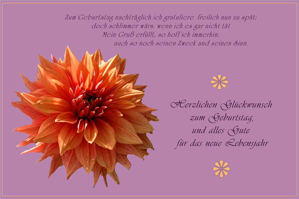 Nachträglich alles Gute zum Geburtstag Foto & Bild *glück karten