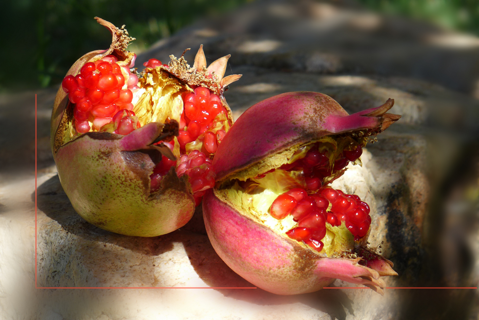 nachträglich zu Rosh HaShana