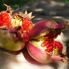 nachträglich zu Rosh HaShana