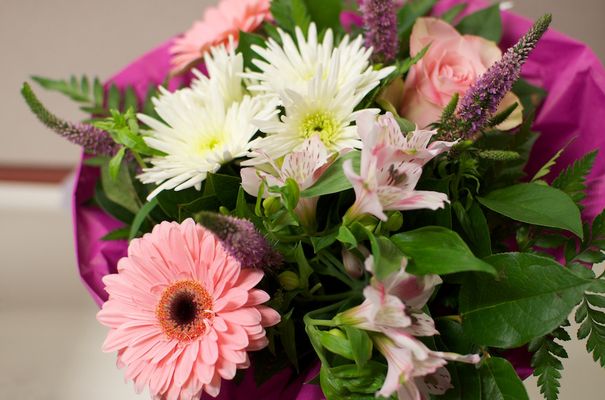 Nachträgliches Geburtstagsgeschenk