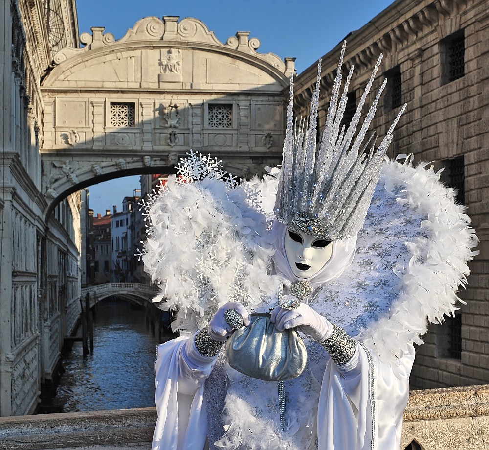 Nachtrag carnevale 2014: Eiskönigin