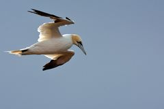 Nachtrag Helgoland