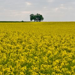 Nachtrag zum Frühling