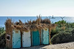 Nachtrag zum Thema: Wildbieseln im Naturschutzgebiet