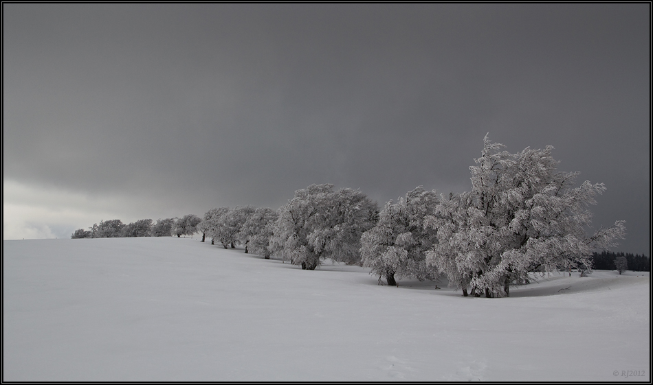 Nachtrag zum Winter 2