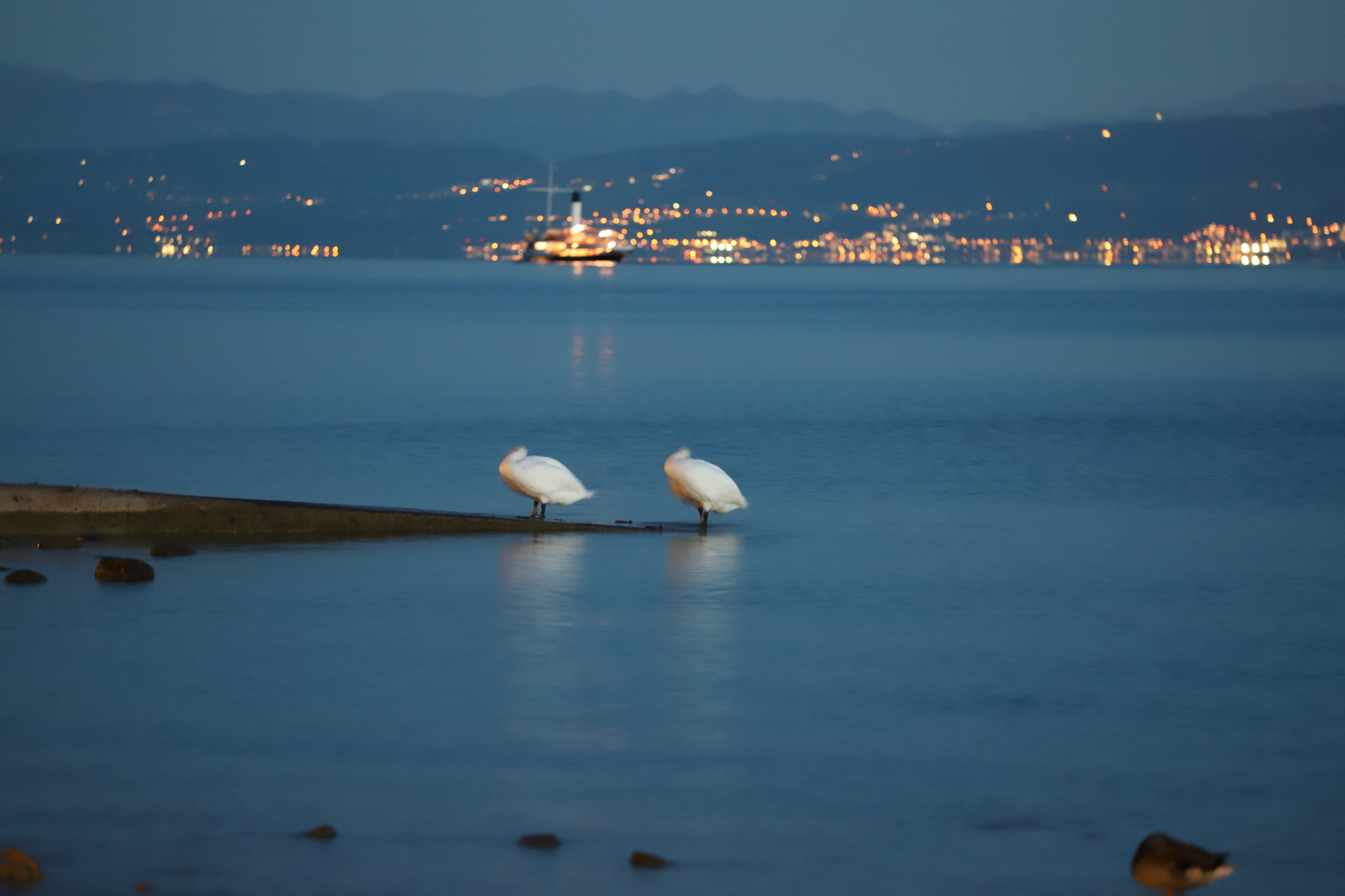 Nachtruhe am Bodensee