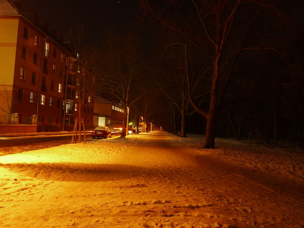 Nachts allein im Schnee