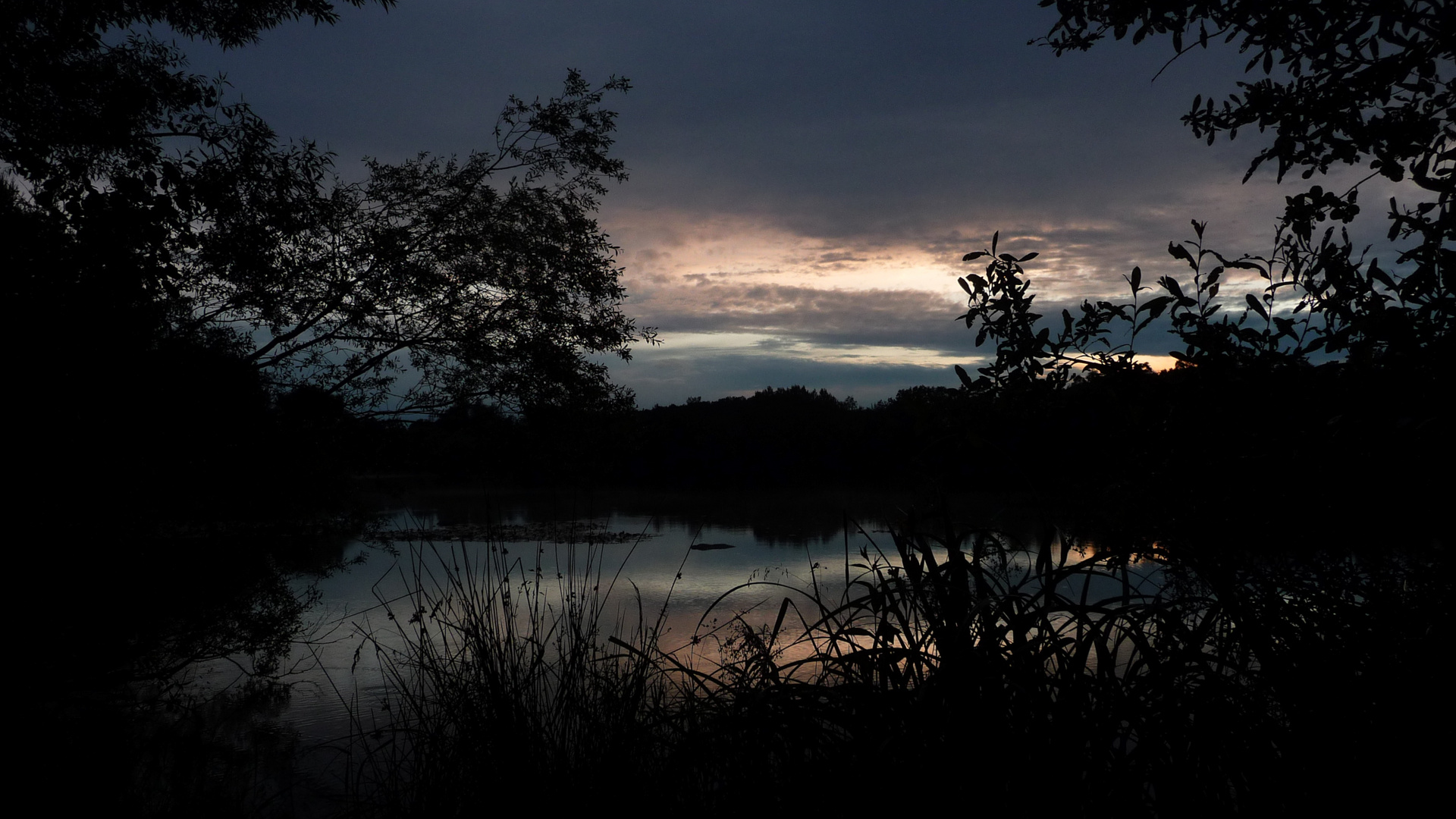 Nachts am See