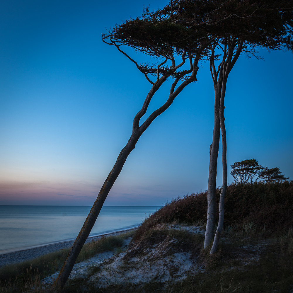 Nachts am Weststrand