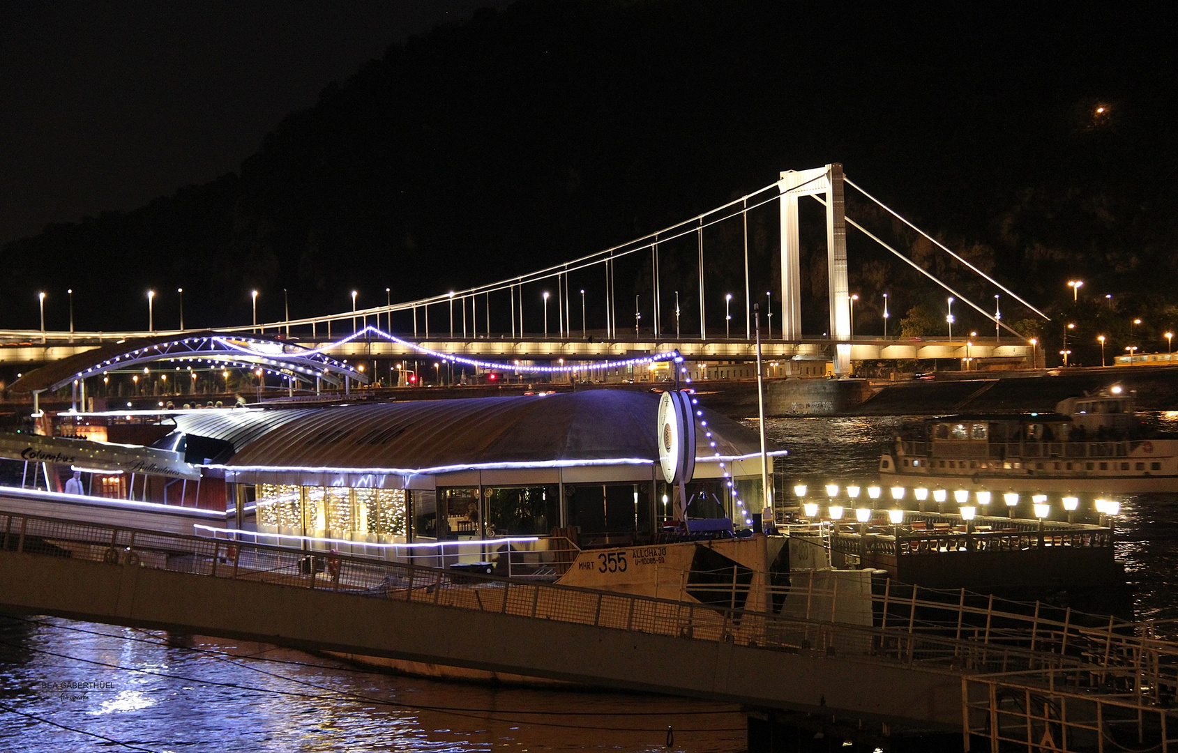 Nachts an der Donau, Blick auf die Elisabethbrücke