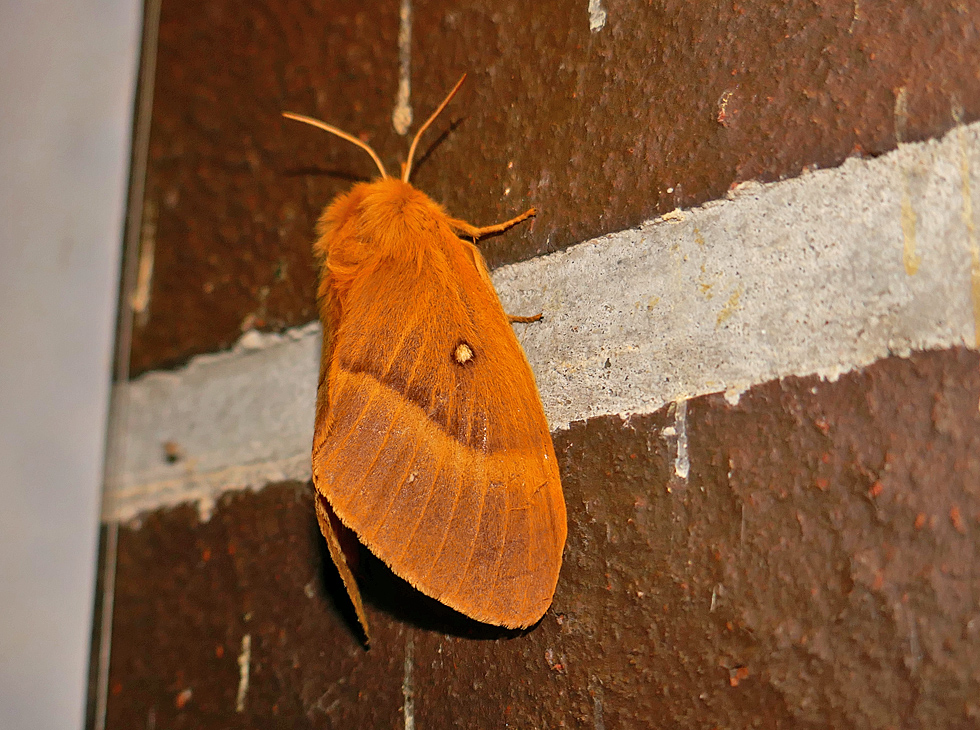 nachts an der Hauswand