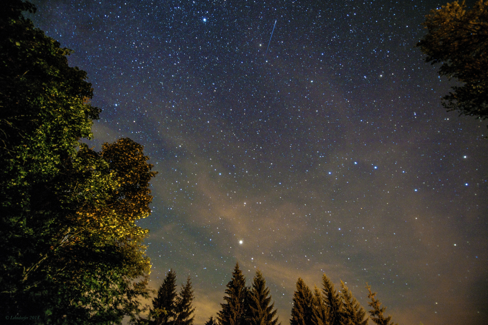 Nachts auf einer Waldlichtung