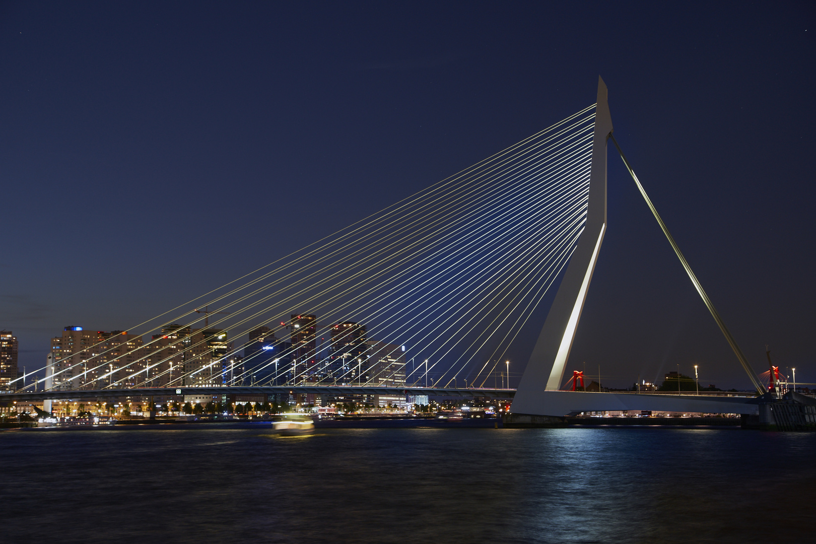 Nachts Erasmusbrücke Rotterdam