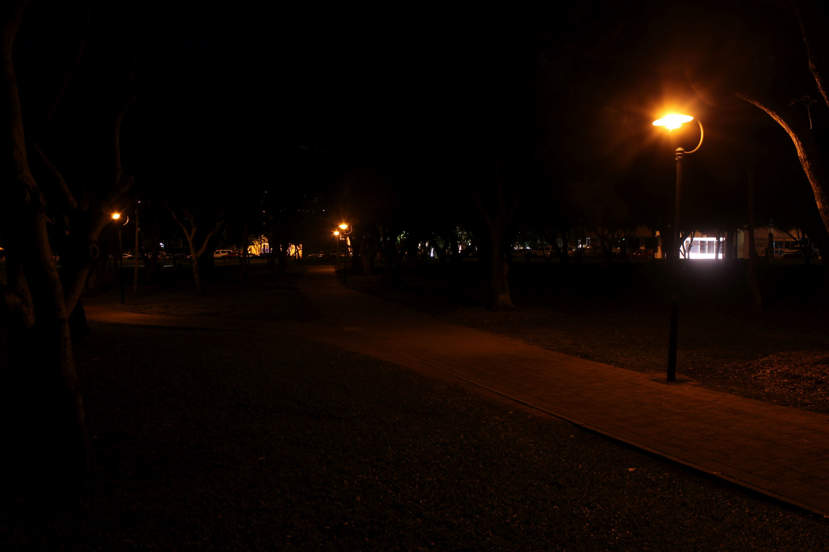 Nachts im Bicentennial Park, Darwin