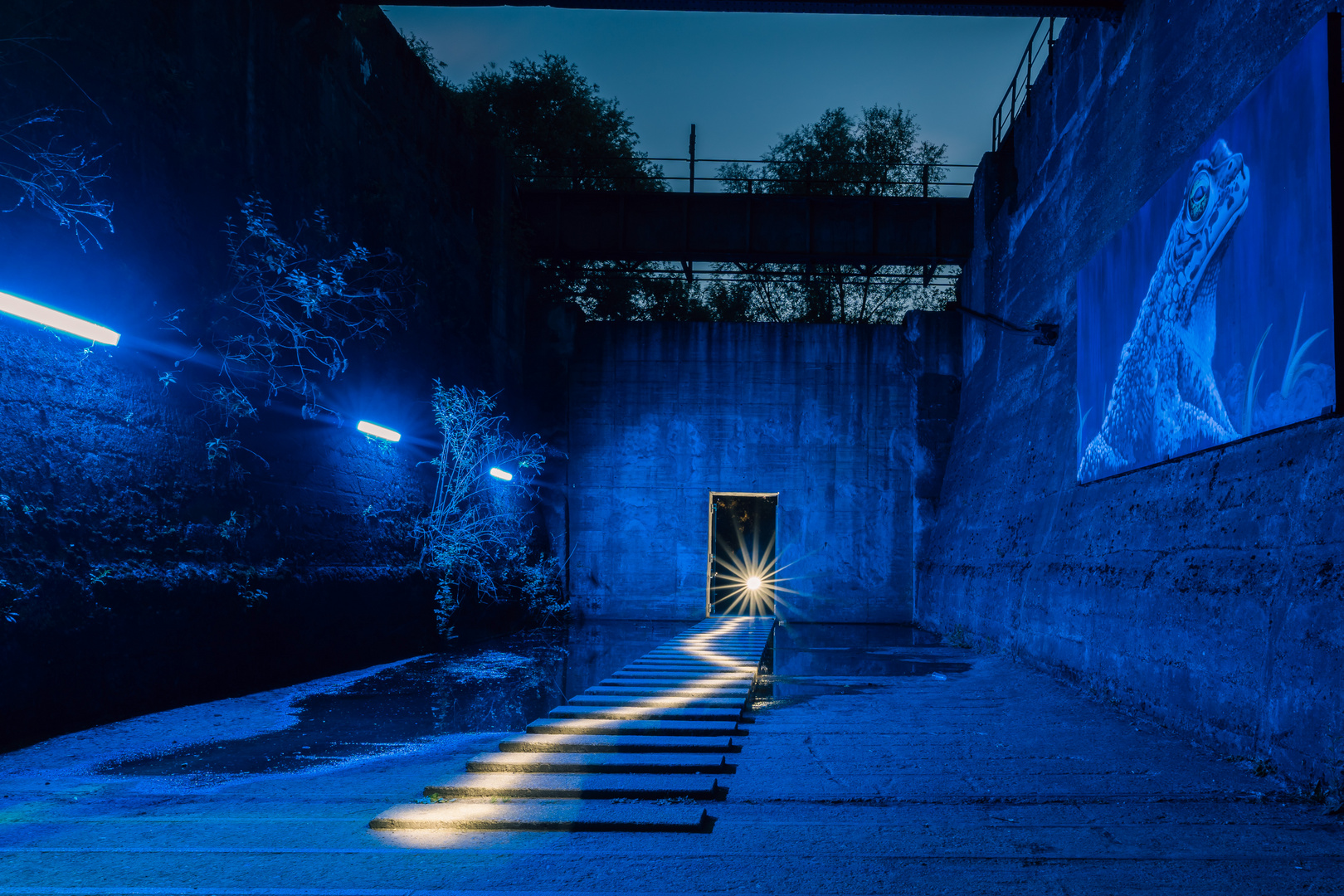 Nachts im Landschaftspark