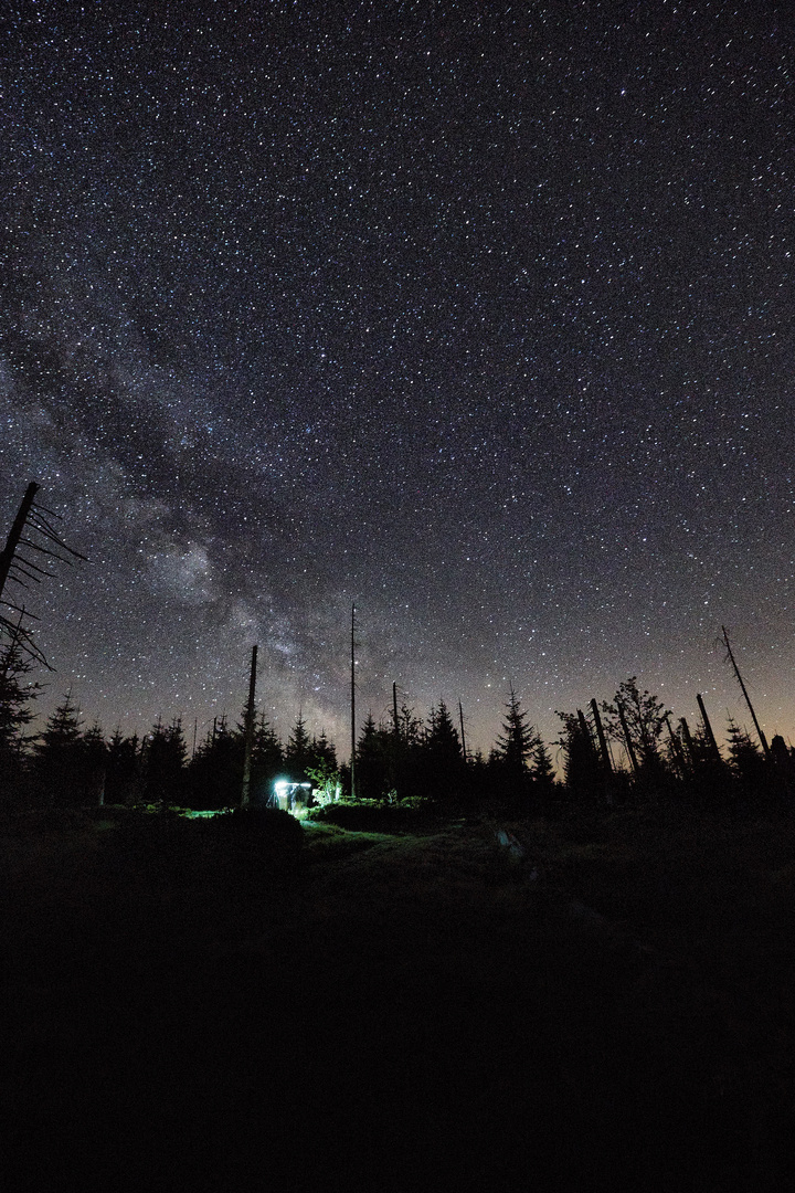 Nachts im Nationalpark Bayerischer Wald