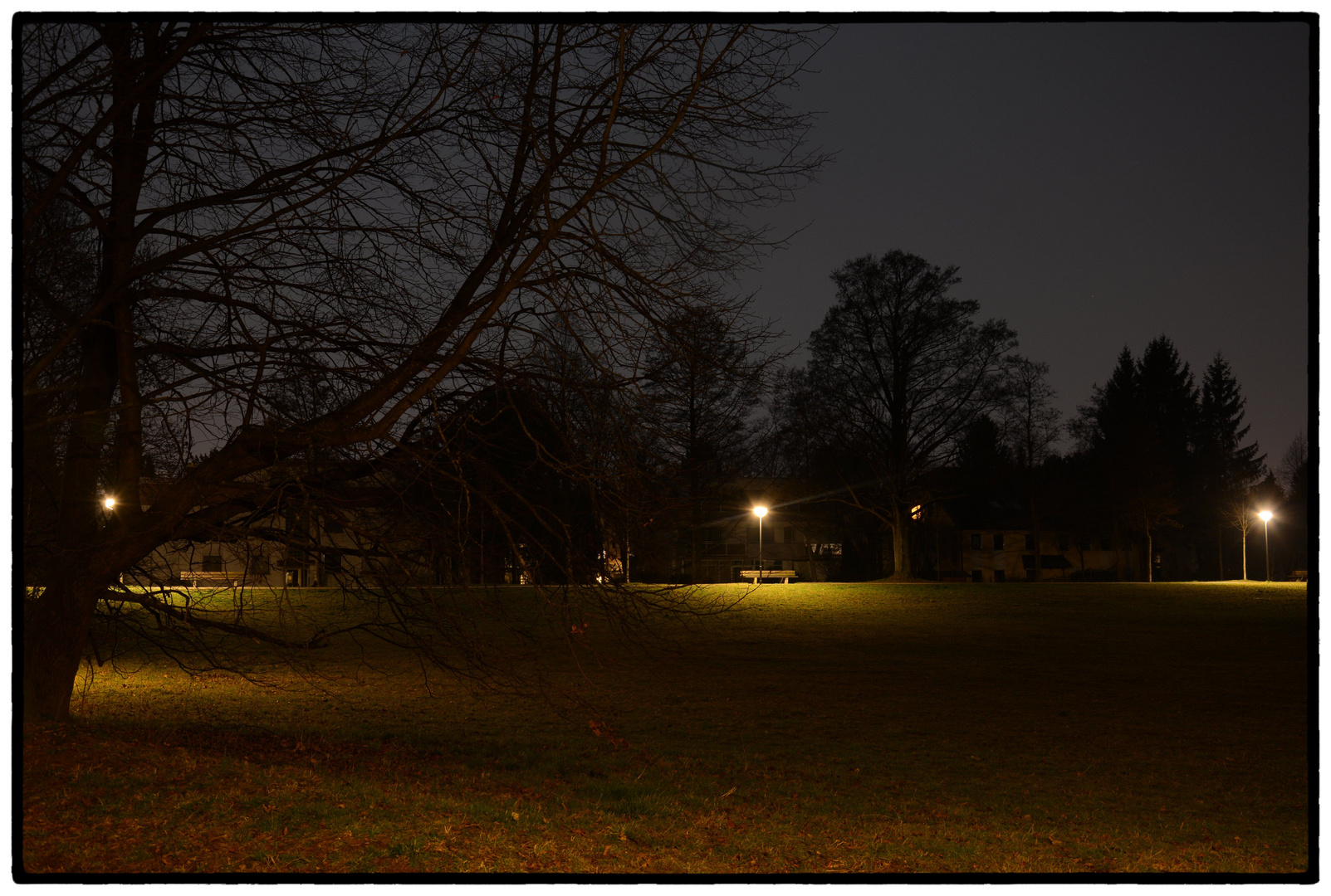 Nachts im Park